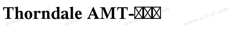 Thorndale AMT字体转换